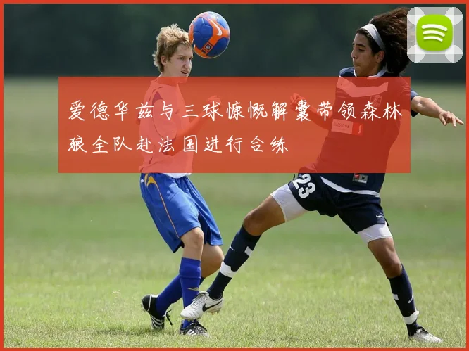 爱德华兹与三球慷慨解囊带领森林狼全队赴法国进行合练