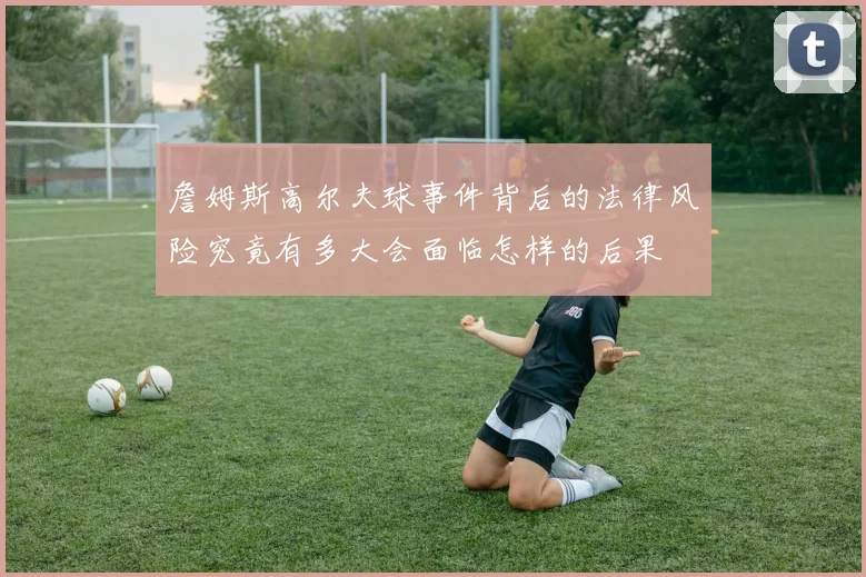 詹姆斯高尔夫球事件背后的法律风险究竟有多大会面临怎样的后果