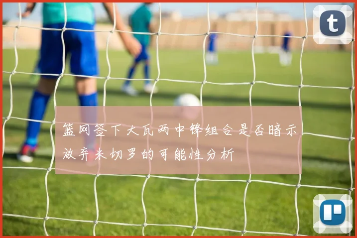篮网签下大瓦两中锋组合是否暗示放弃米切罗的可能性分析